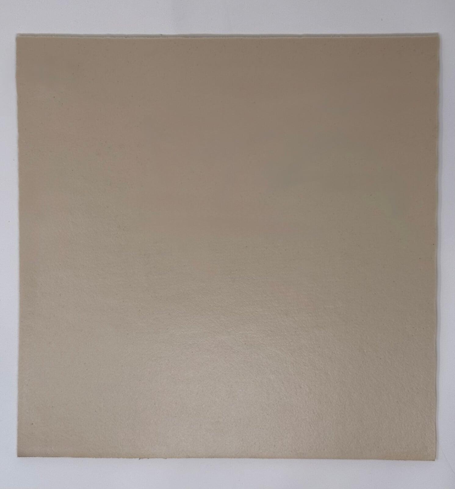 LSI 101
