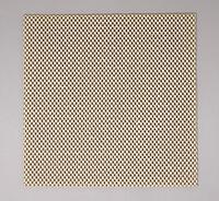 StayPut Outdoor Rug